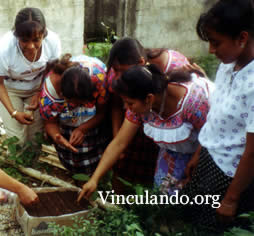 Mujeres trabajando juntas en Cuetzalan, Puebla