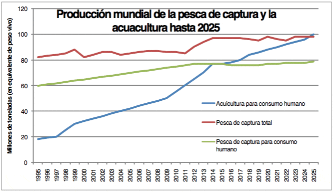 Producción mundial de la pesca de captura y acuicultura hasta 2025. Fuente: Elaboración propia con datos de la FAO 2016
